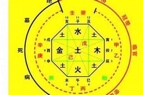 免費八字排盤喜用神|五行喜用神免費查詢器